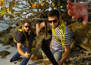Mangroveslasher