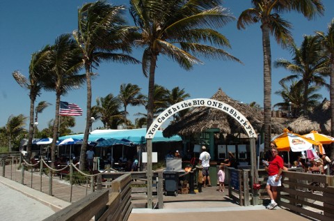 Sharky's on the Pier in Venice.