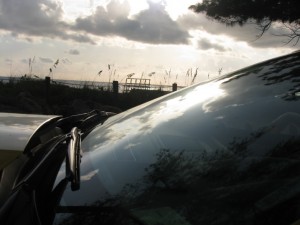 scenic 10a