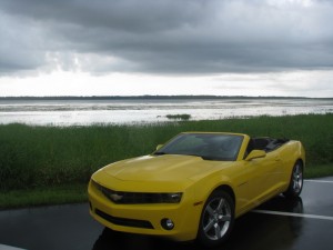 scenic 2a