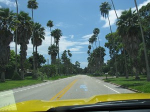 scenic 6a