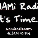 WAMi-300x185