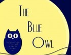 blueowl-140x108