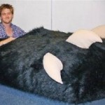 slipper-300x186