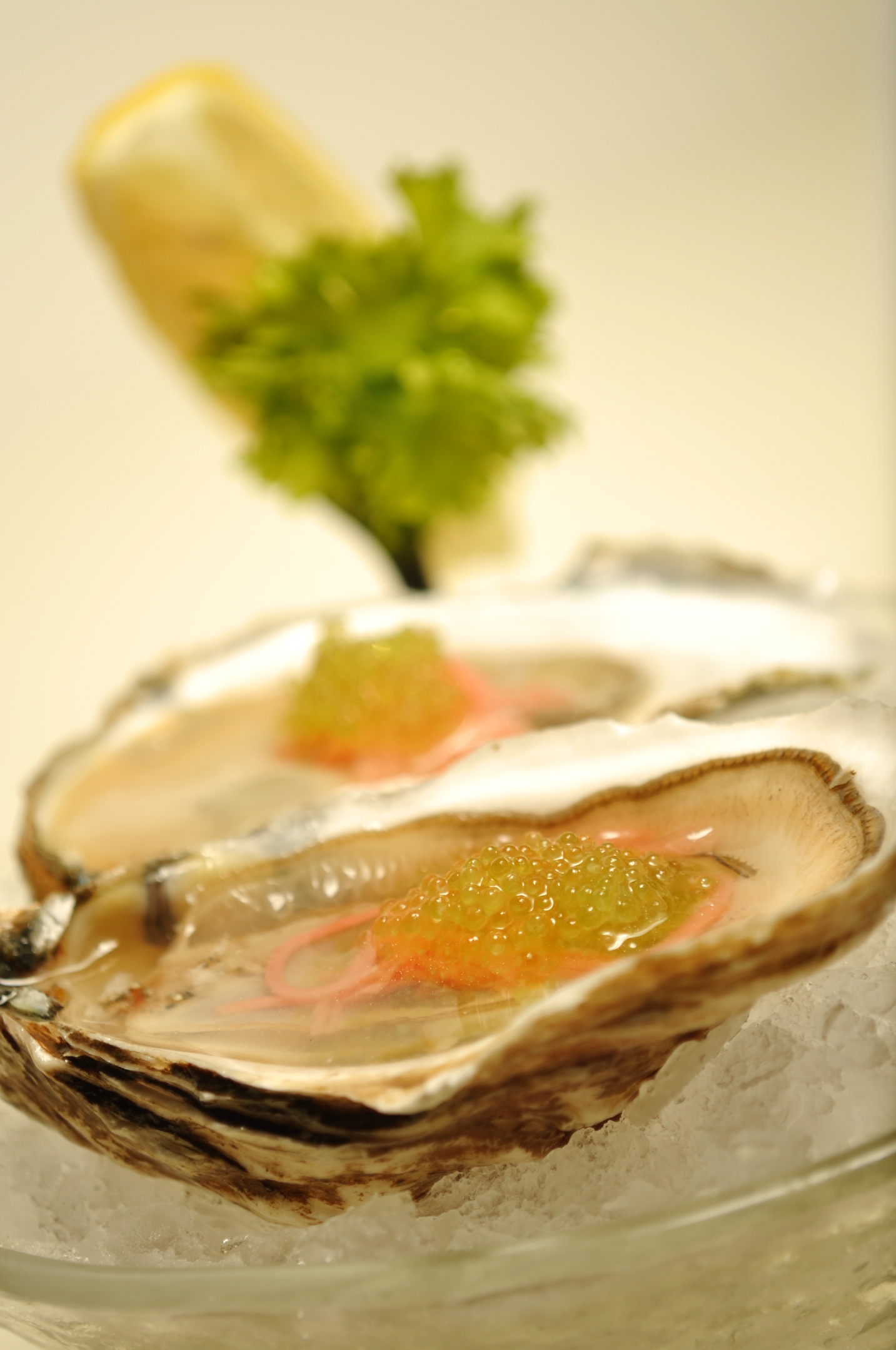 Oysters and caviar at Crab and Fin (Courtesy photo)