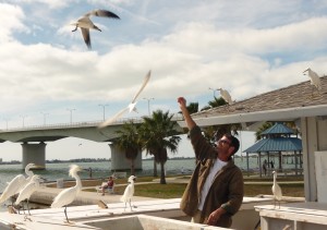 Scruffy competes with seagulls and egrets to get his share.