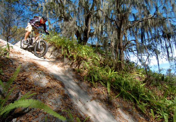 mountain biking