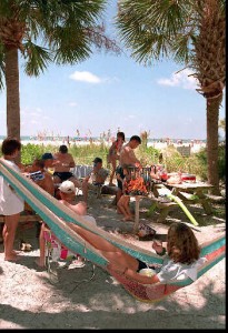 siesta picnic