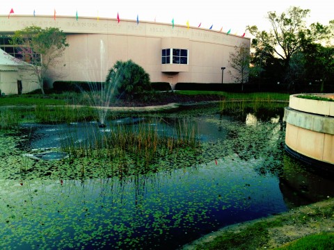 Here's the tranquil view that accompanied our dinner at the Treviso.