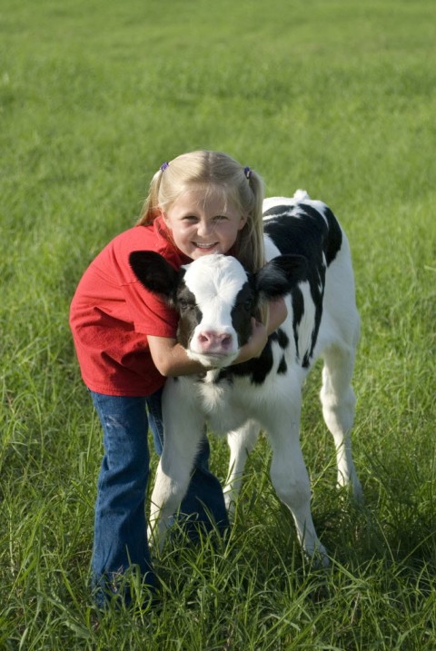 DakinDairyFarms_HTarchives