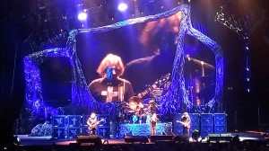 Geezer_Kristin