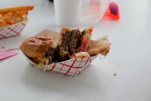 Shake Pit (2) (low-res)