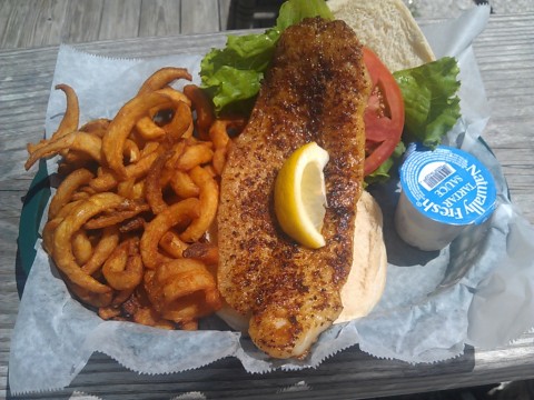 Olearys fish bun WT