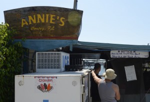Annies large HT