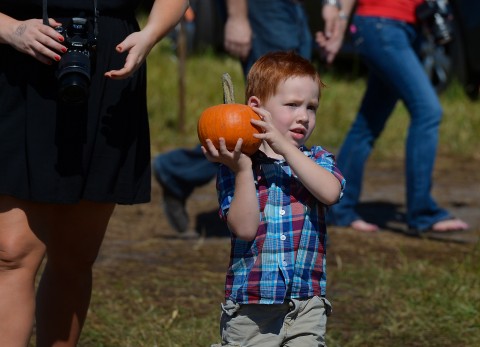 Hunsader Pumpkin