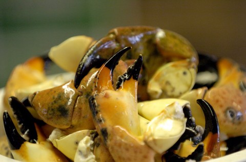 Stone Crab