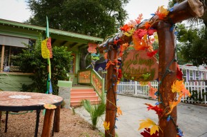 Little Swamp Studio