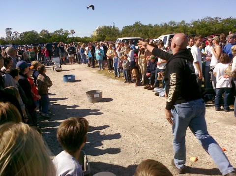 Mullet toss