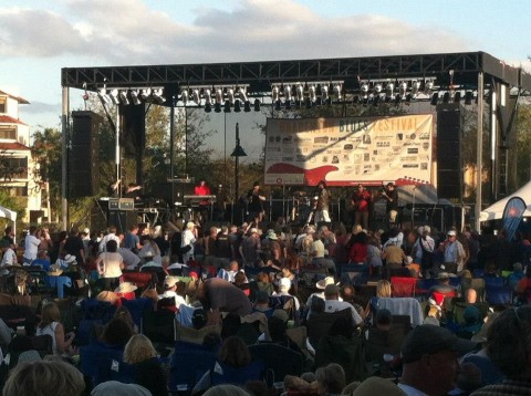 Bradenton Blues Festival Crowd