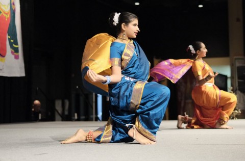 The 2013 inaugural Manasota India Festival at the Bradenton Area Convention Center on Saturday, August 10, 2013 in Palmetto. (Photo by Craig Litten)